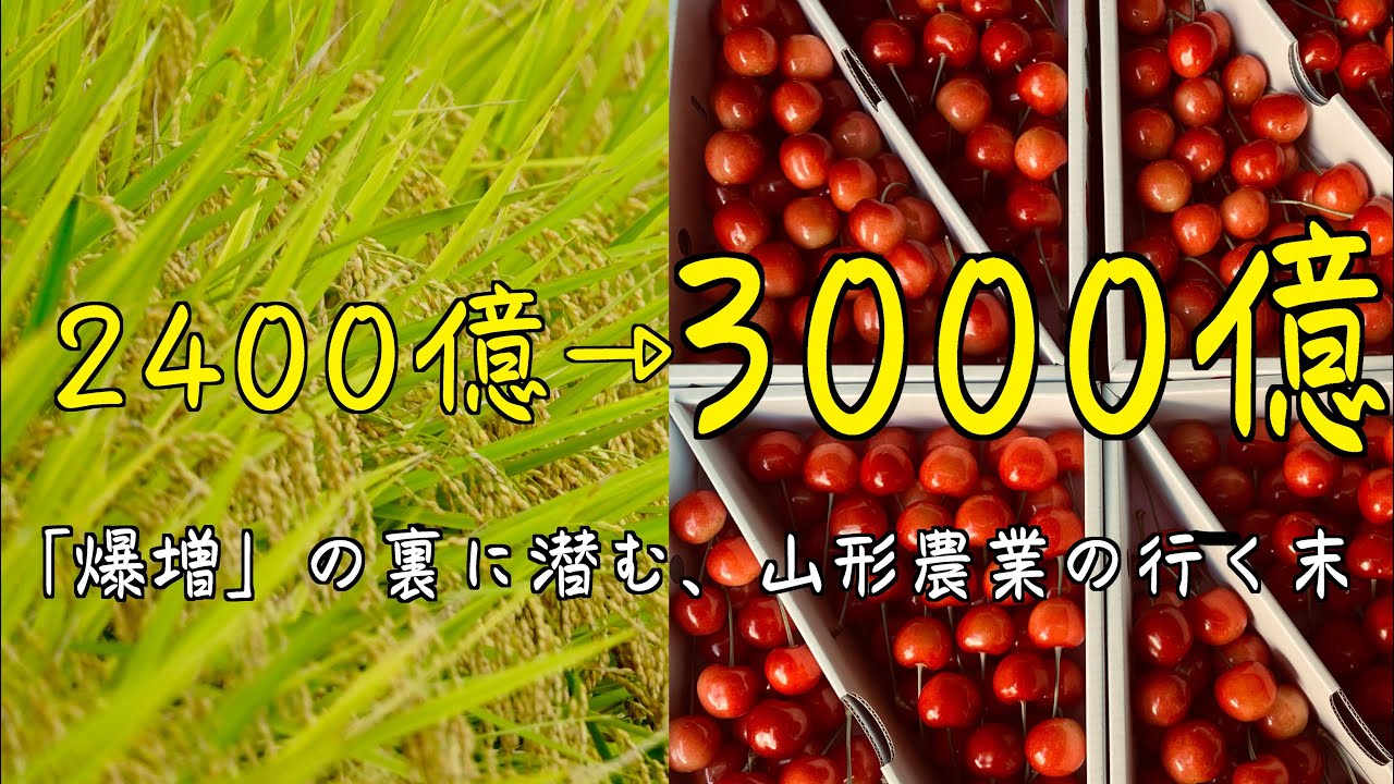 【3000億の衝撃】山形農業に一体何が？売上爆増の裏で農家が「2割消えた」真実。