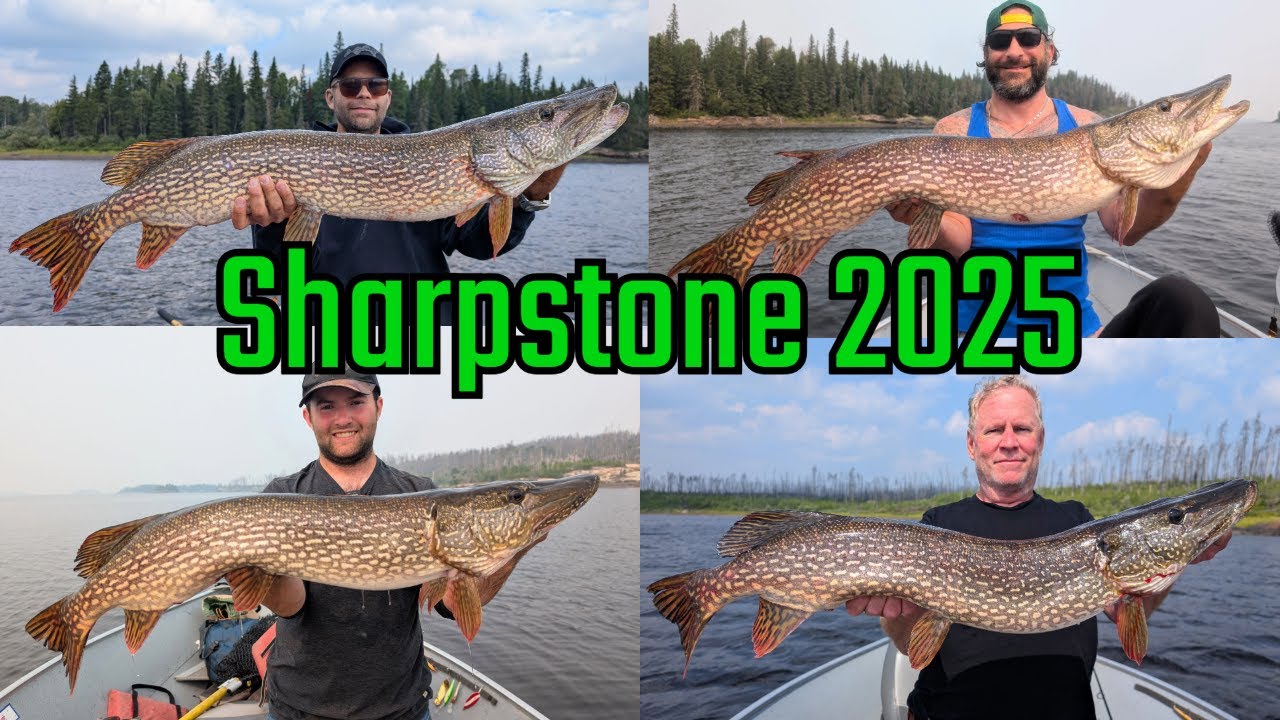 Sharpstone Lake 2025 - Canada Fly-In Fishing Trip (Short Version)