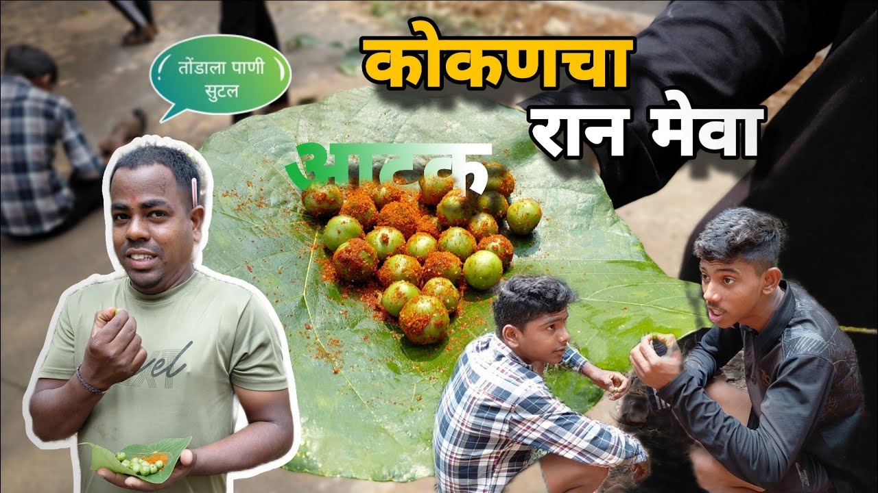कोकणातला रानमेवा आटक शोधायला गेलो 🌴🍃