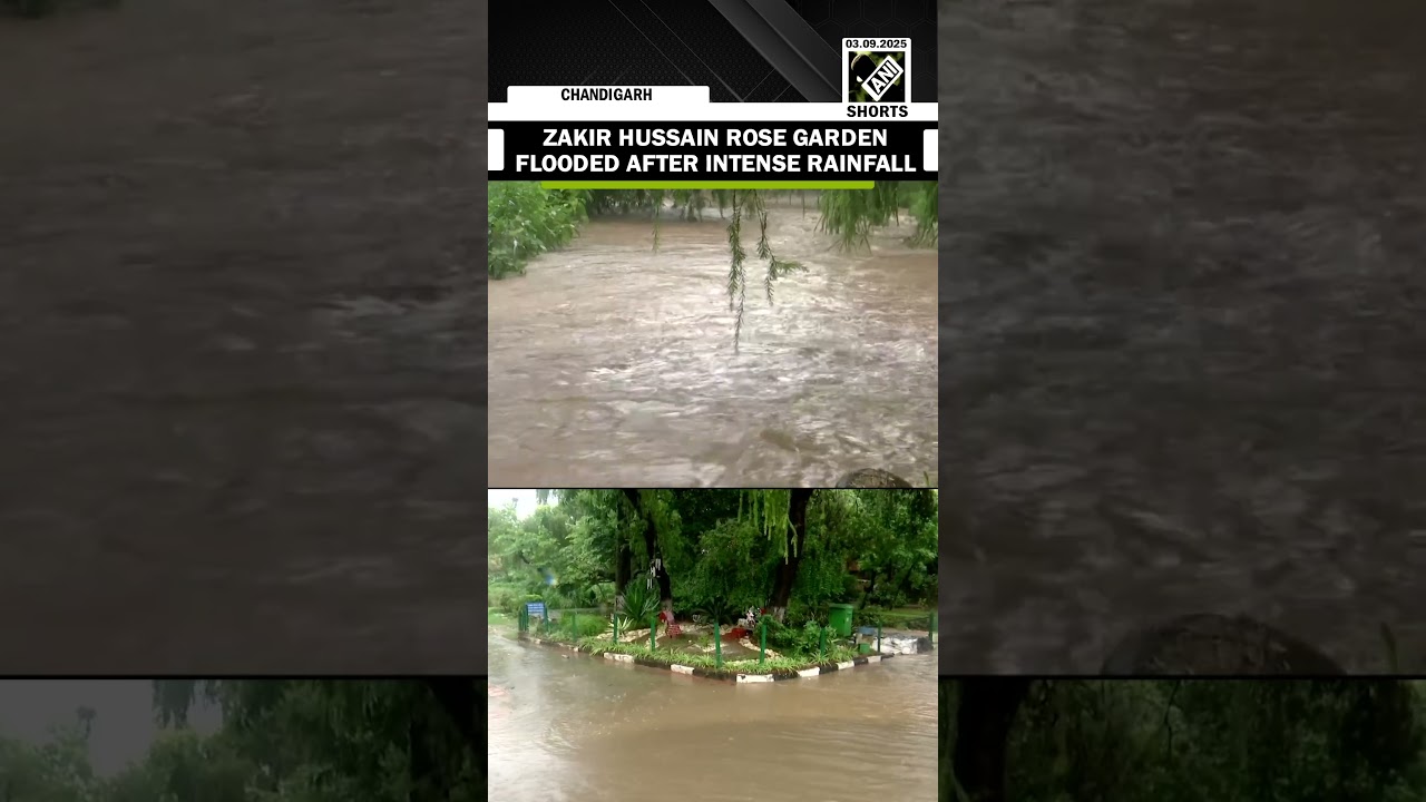 Punjab Floods: Chandigarh&rsquo;s Zakir Hussain Rose Garden flooded after intense rainfall