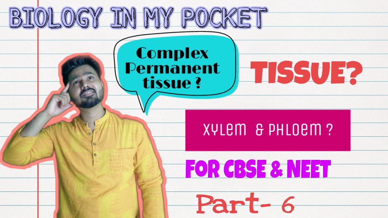Tissue - Plant Tissue (Part - VI)  Detailed Explanation by - Biology In My Pocket