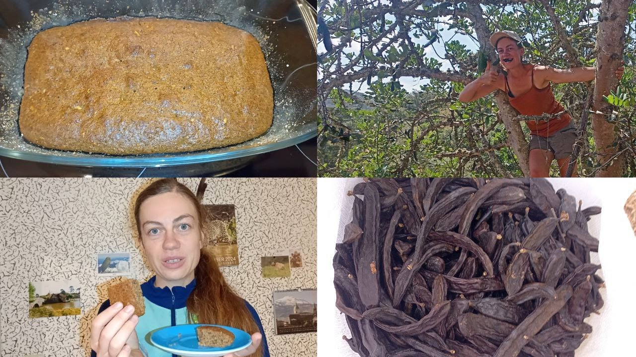 Was kann man aus Johannisbrot machen?