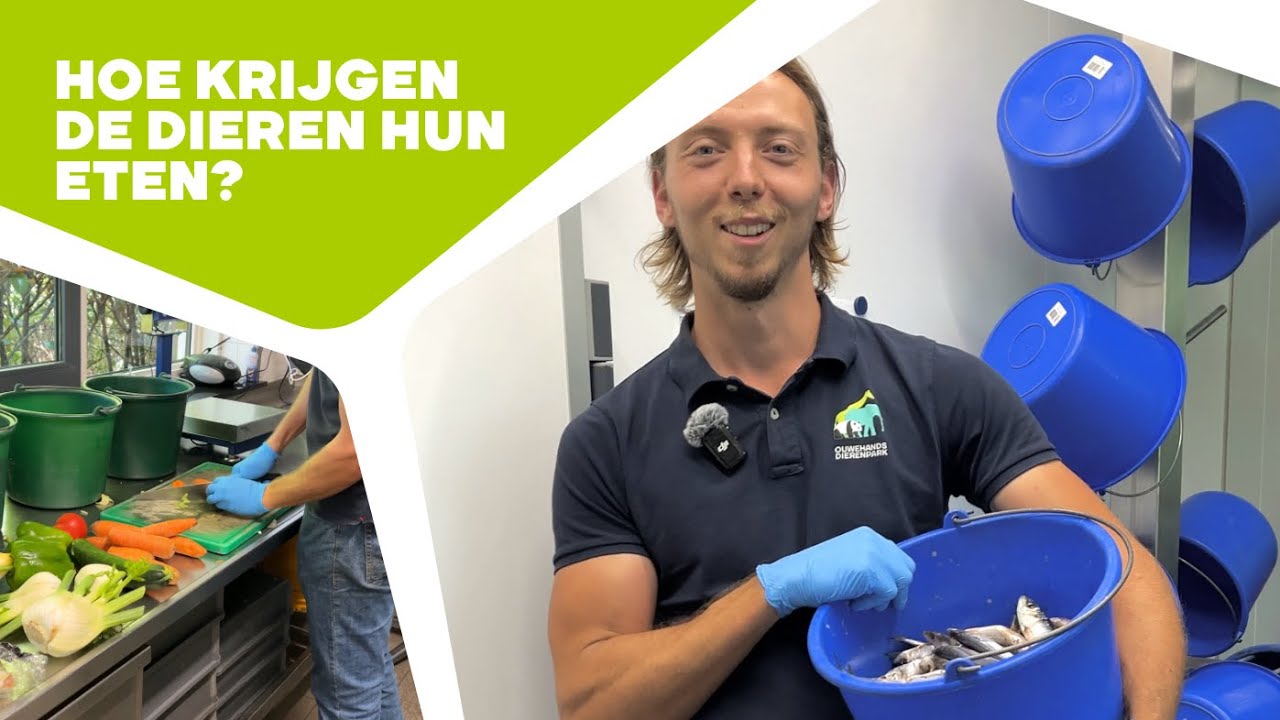 🥒 EEN KIJKJE IN DE KEUKEN 🐟 | Achter de schermen in de dierentuin