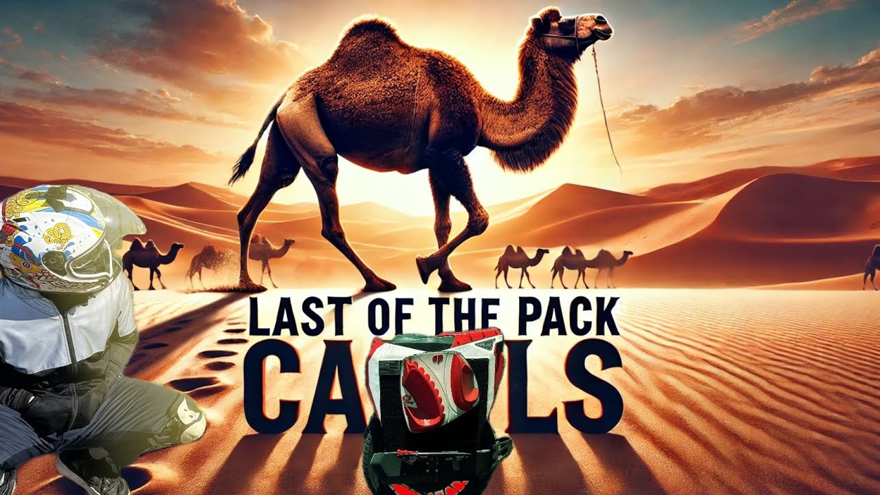 Last Of The Pack Camels : The Master Pro v3