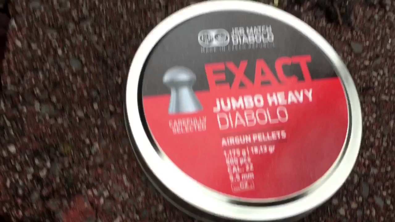 Benjamin marauder .22 accurate pellets