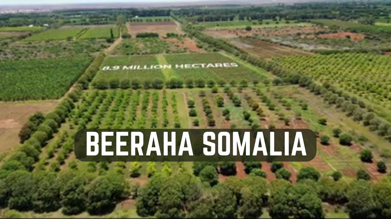 Documentary | Wax badan ka ogoow Beeraha iyo Xoolaha Soomaalia, caqabadaha iyo fursadaha ka jira.