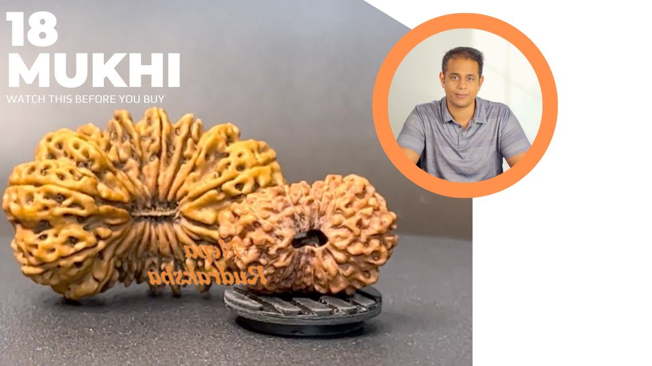 Indonesian Or Nepali Rudraksha? |  Which One Should You Buy? | Best Rudraksha For You | Rudraksha