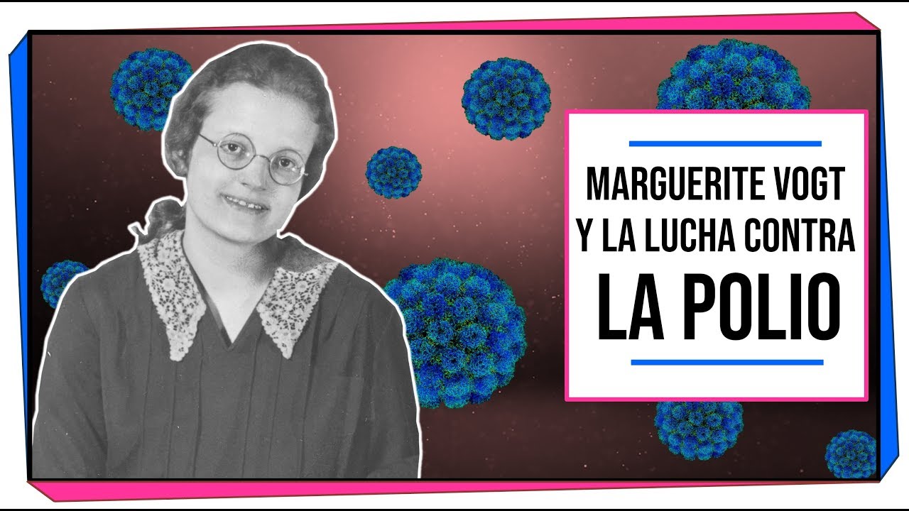 ¿Cómo se desarrolló la vacuna contra la Polio? | Marguerite Vogt | MUJERES EN LA CIENCIA