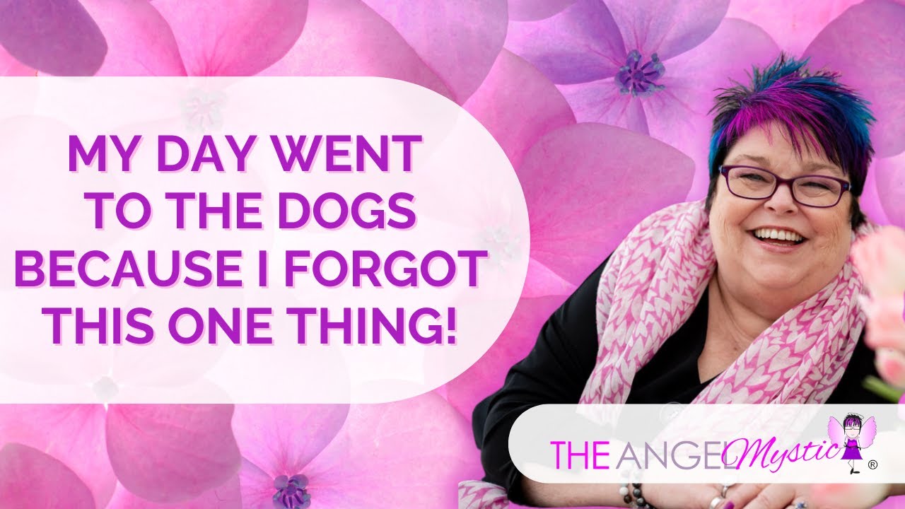 My Day Went To The Dogs Because I Forgot This One Thing - The Angel Mystic Podcast - Ep  117