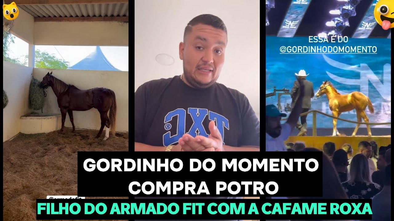 GORDINHO DO MOMENTO COMPRA POTRO FILHO DO ARMADO FIT COM A CAFAME ROXA