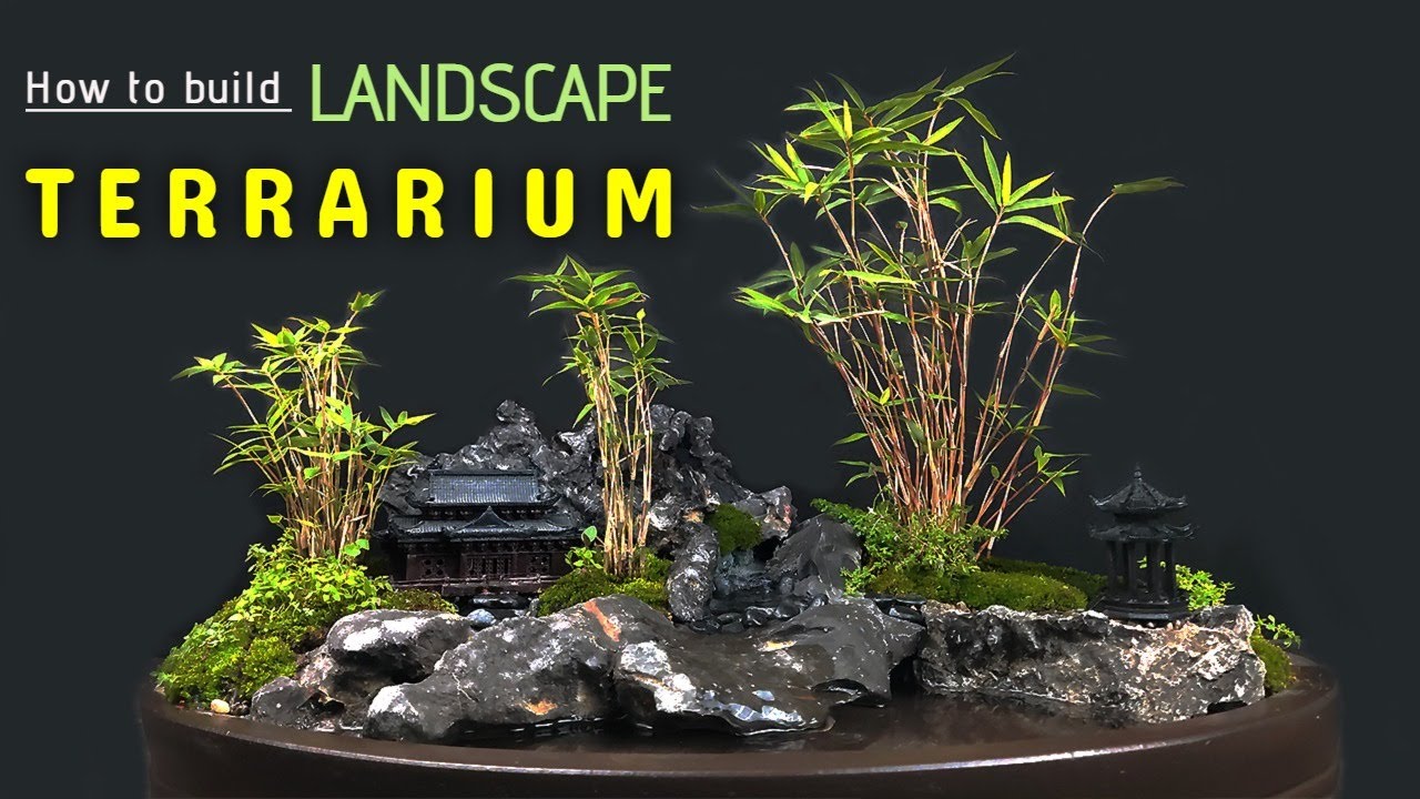 How to build a Landscape Terrarium