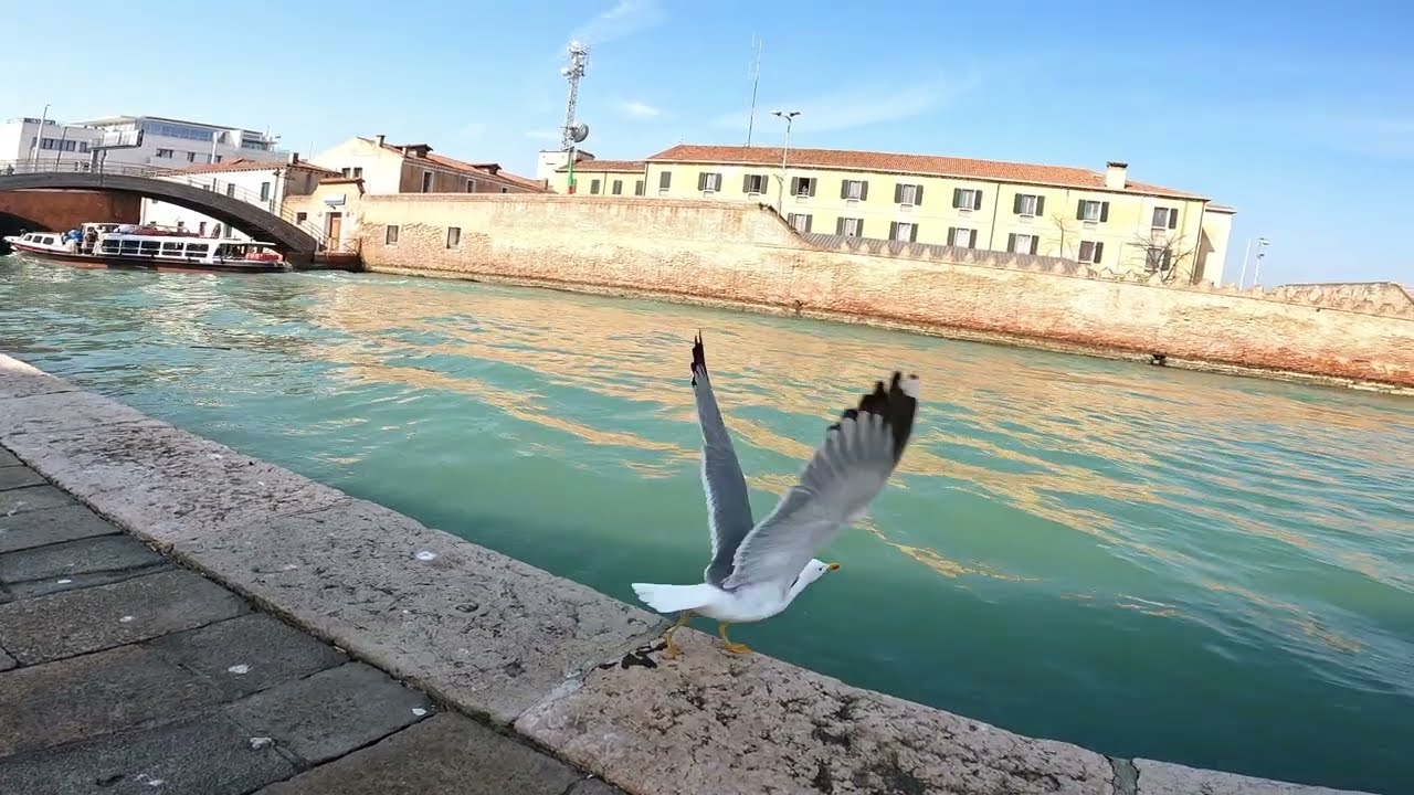 Venice, Italy walking tour [4K]