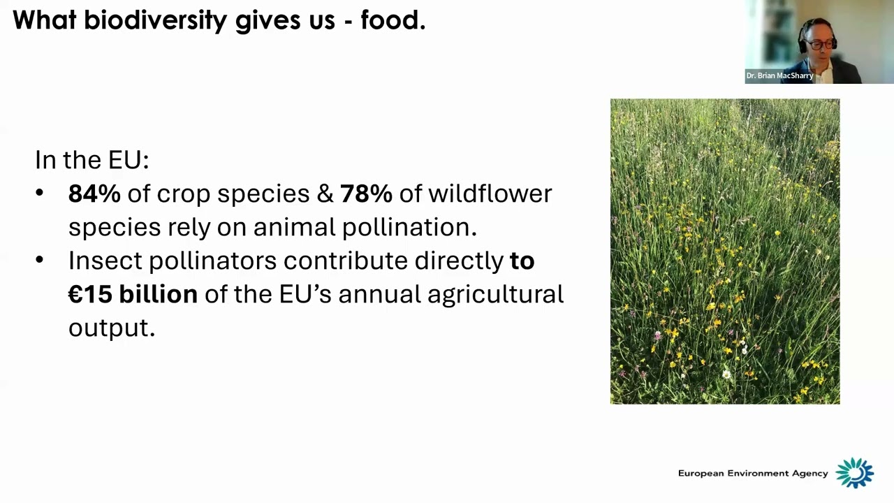 Multidisciplinary approaches to the biodiversity crisis