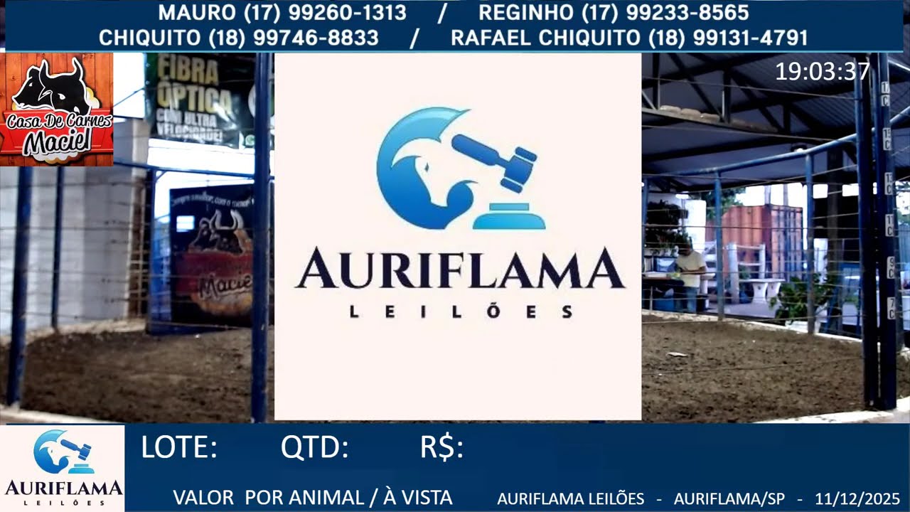 LEILÃO AURIFLAMA LEILÕES - 11/12/2025 - AURIFLAMA/SP - LEILÃO