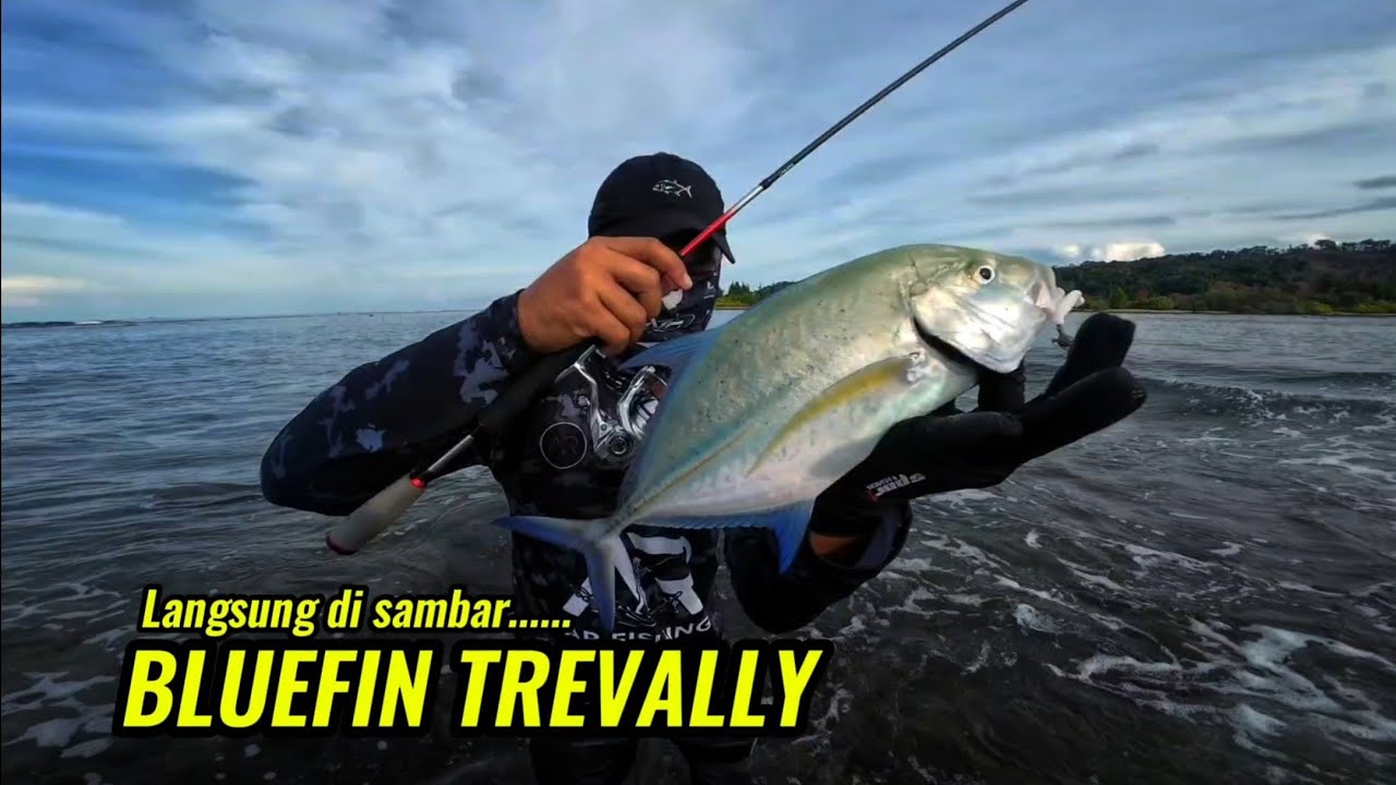 MANCING STRIKE BLUEFIN TREVALLY SIZE BAKAR | MANCING PINGGIRAN | Casting, Ultralight || Di Aceh Jaya