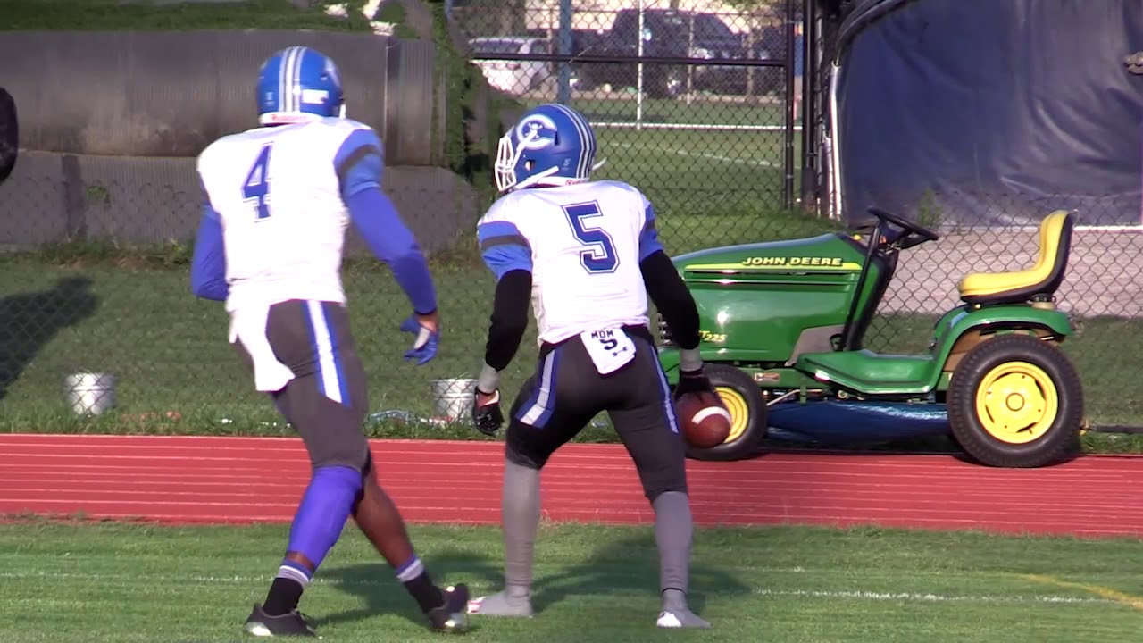 Gibraltar Carlson vs. Trenton - 2017 Football Highlights on STATE CHAMPS!