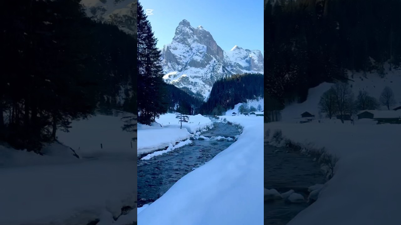 Winter Experience in Switzerland