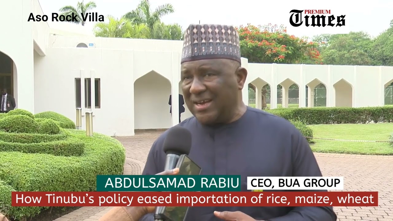How Tinubu’s policy eased importation of rice, maize, wheat into Nigeria— BUA CEO