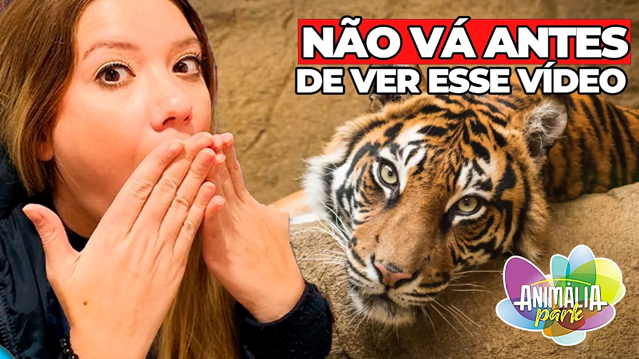 CONHEÇA O ANIMÁLIA PARK - COTIA/SP | SUPEROU as EXPECTATIVAS - Vale a pena em 2025? | com PREÇOS