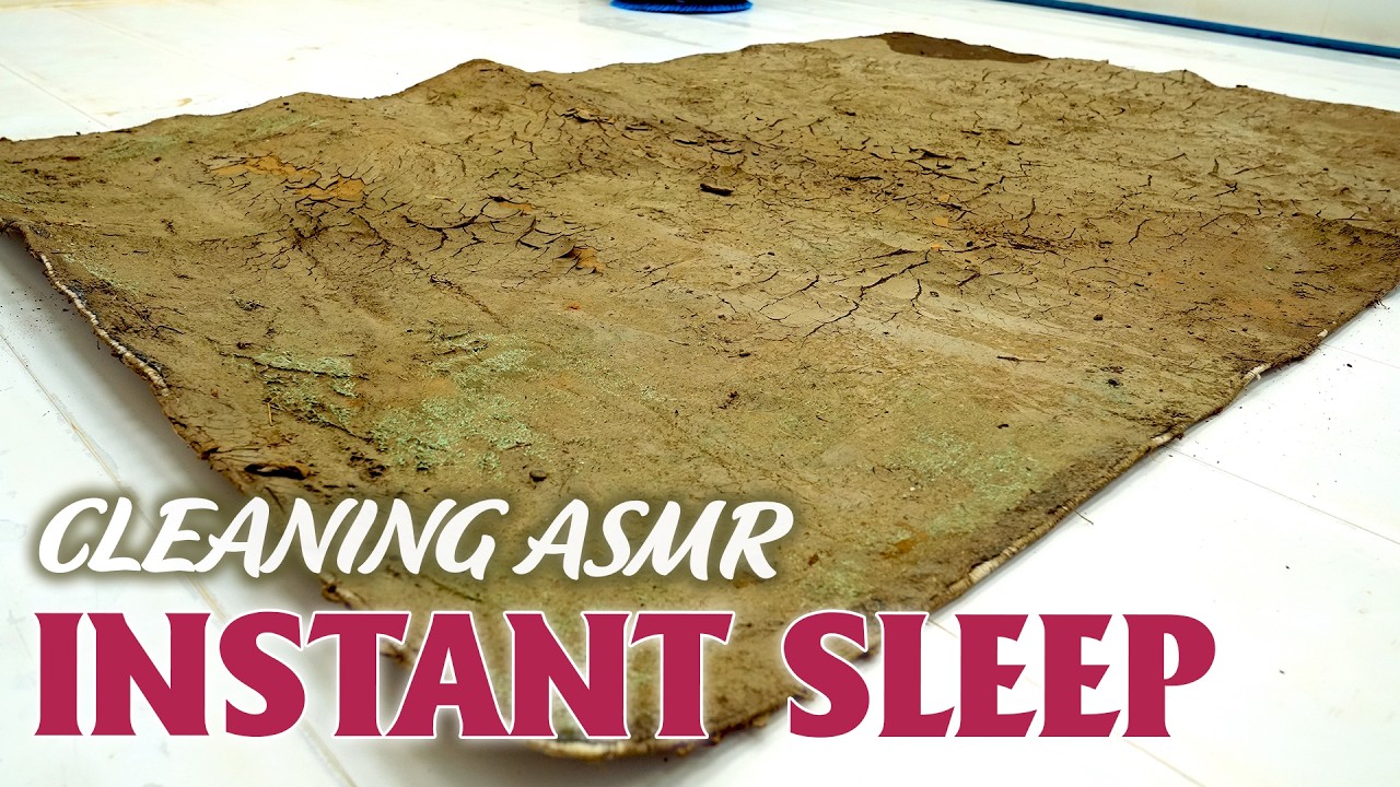 8 Hours Carpet Cleaning for Sleeping – Soft Cleaning Sounds for Insomnia Relief - For Deep Sleep