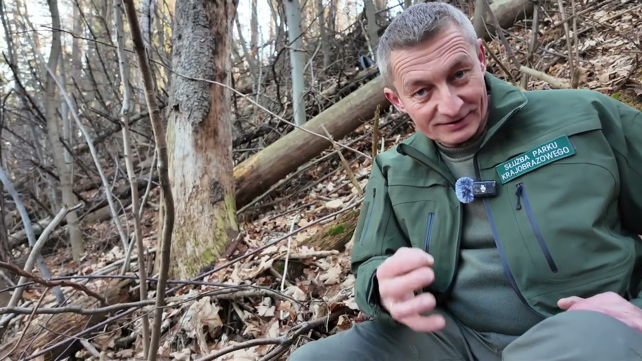 Odcinek 178 - Martwe drewno żyje!