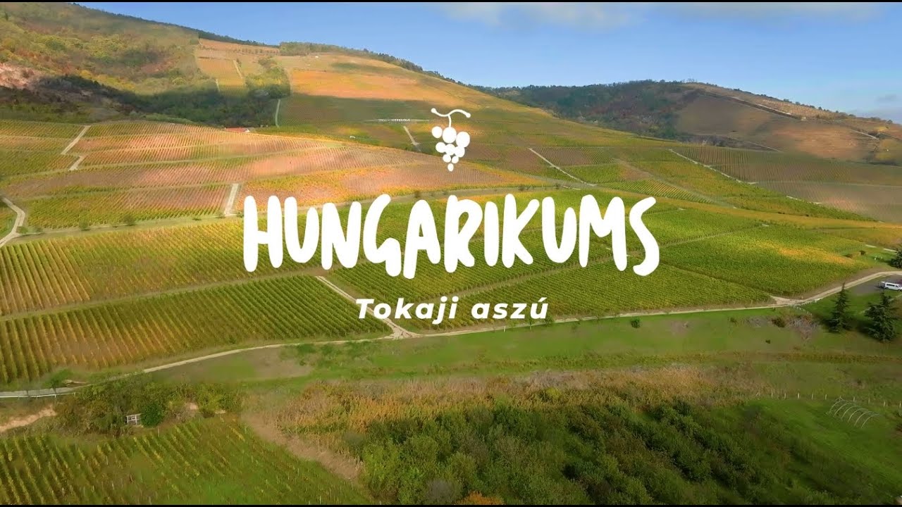 Hungarikums -Tokaji asz&uacute;
