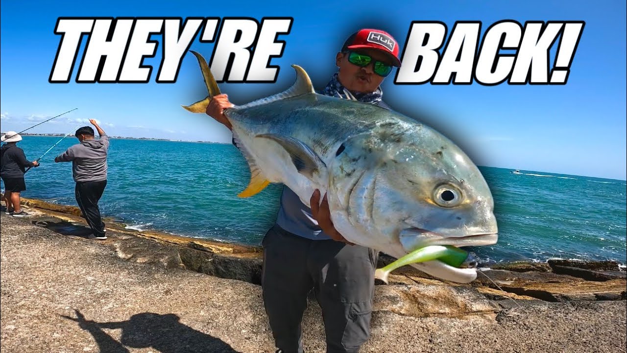 Fishing For HUGE Jacks At The Surfside Jetty!!