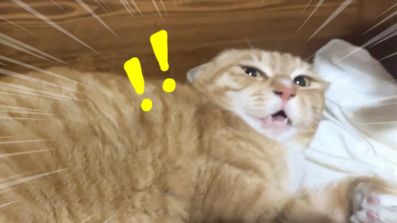 그녀에게 매콤하게 후드려 맞았습니다