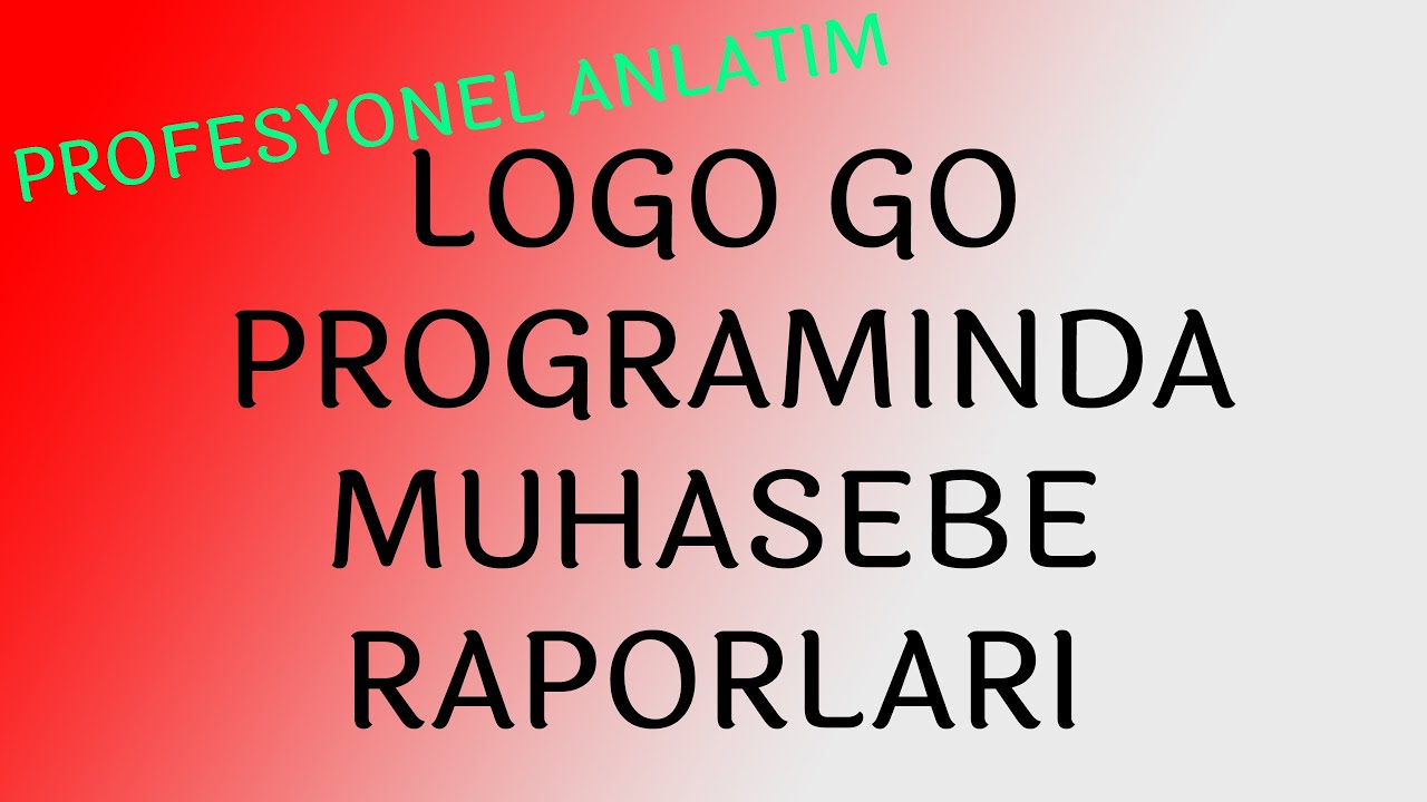 LOGO GO PROGRAMINDA MUHASEBE RAPORLARI