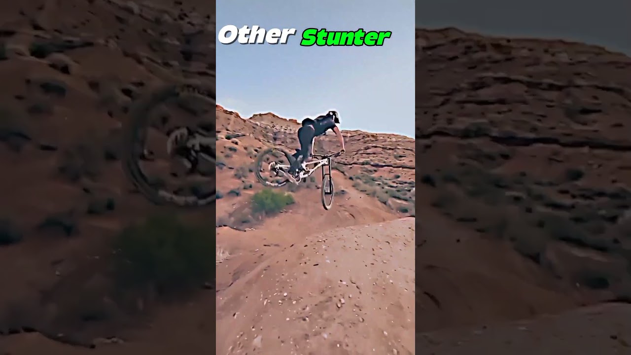 Normal Stuntey vs #Pro Stunter