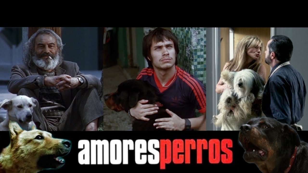 la MARGINALIDAD y VIOLENCIA en AMORES PERROS; Análisis psicológico 