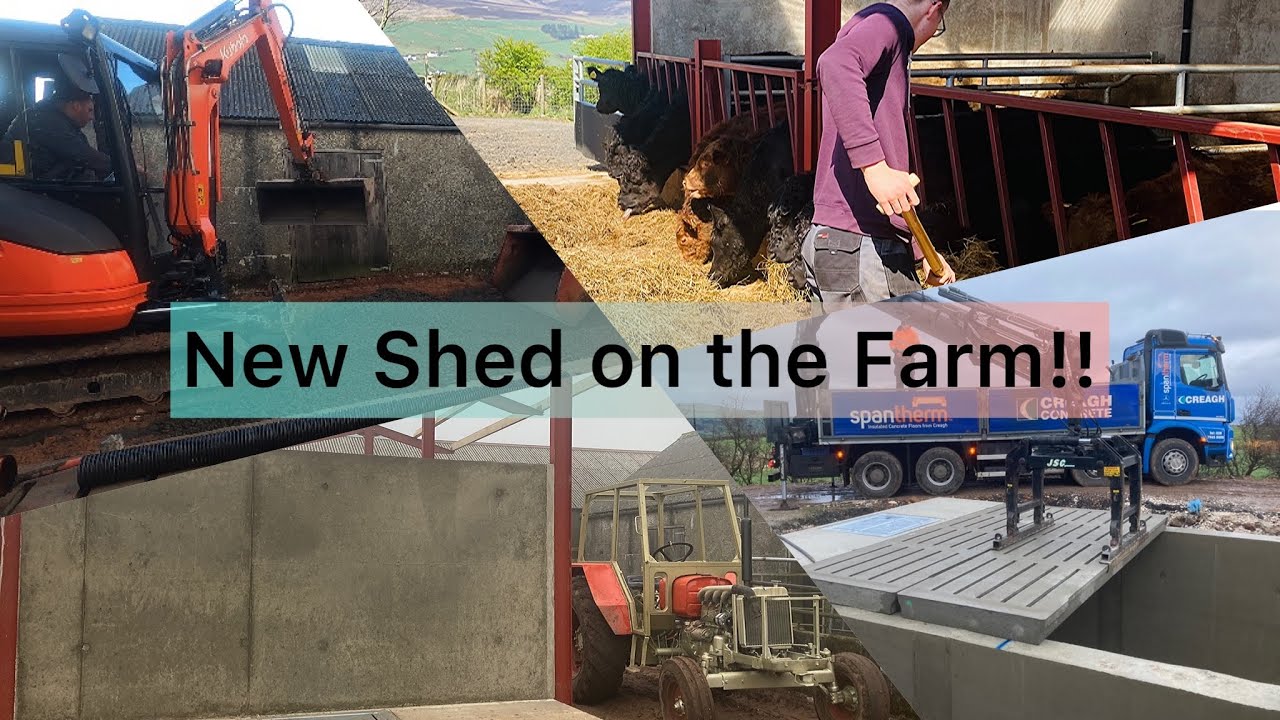 The NEW Cattle Shed is Finally Here!!