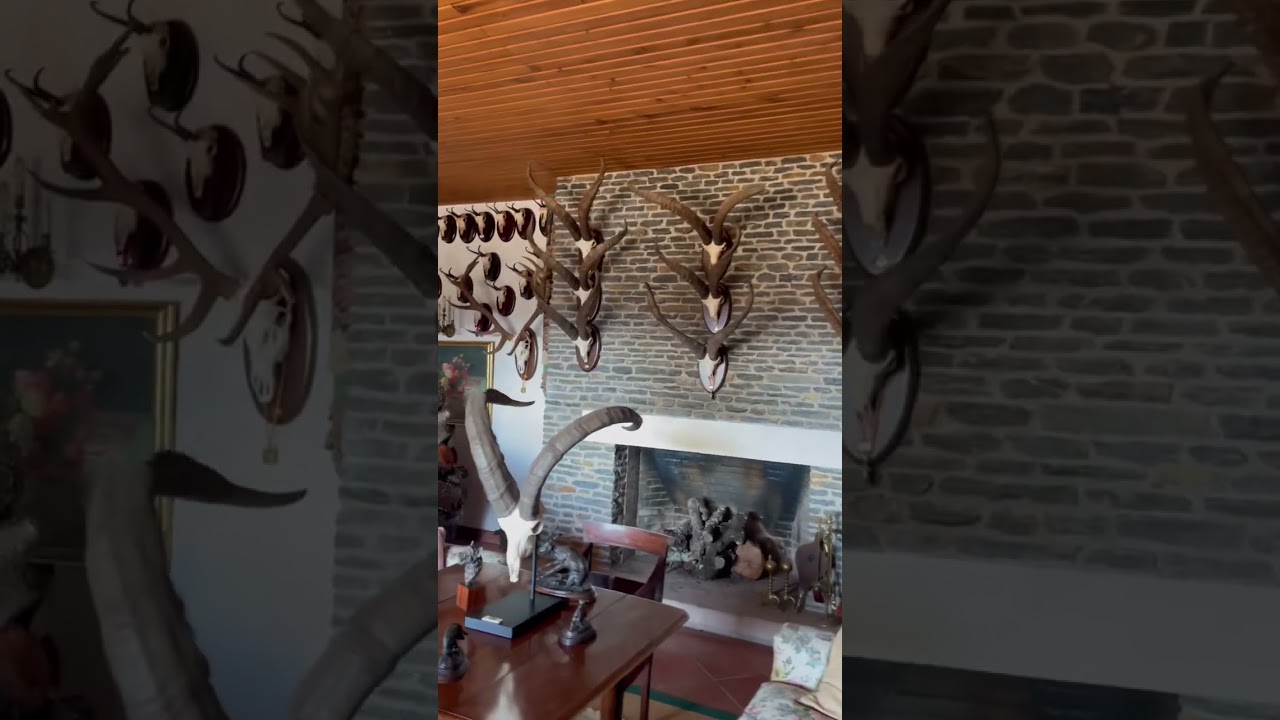 Trophy room in a Spanish mansion 😳
