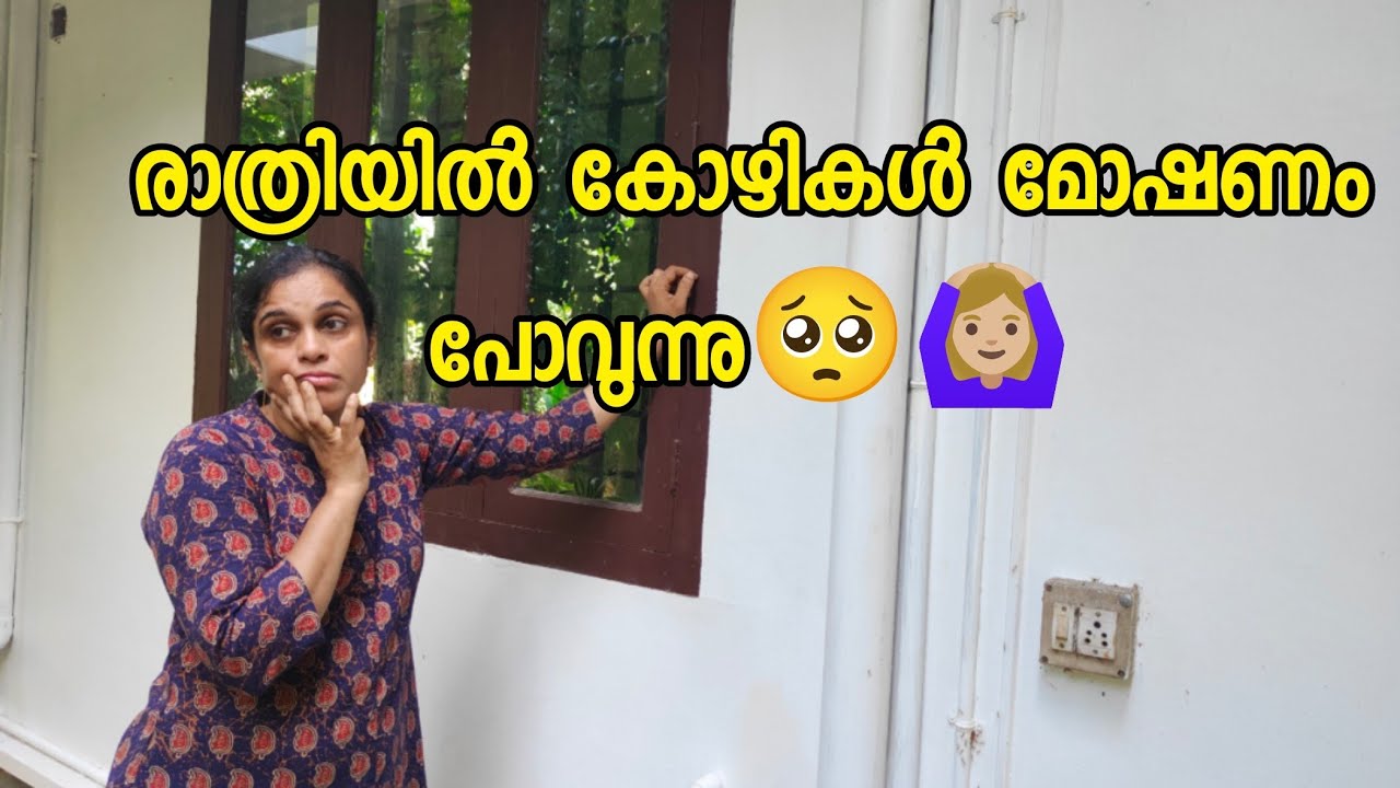 കോഴി കൂട്ടിൽ 🐓കള്ളൻ കയറി 🥺😧 | #dayinmylife