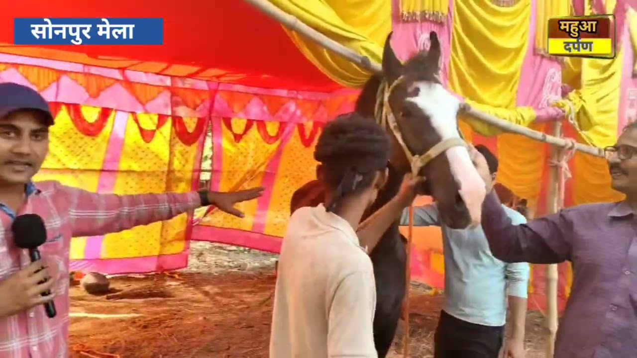 11 लाख का घोड़ा सोनपुर मेला #vairal #sonpurmela2025 