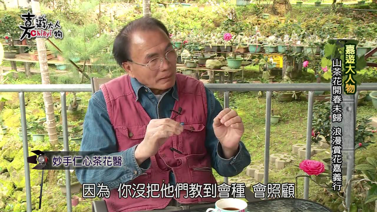 嘉遊大人物 - 茶花達人
