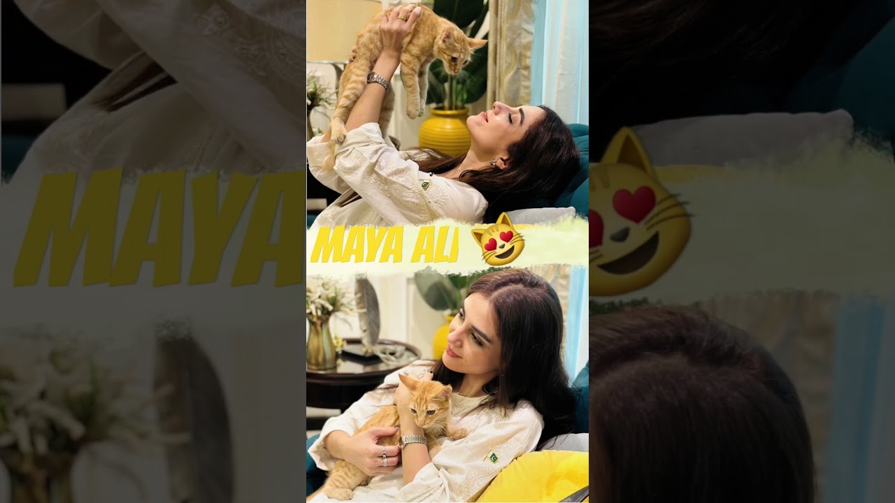 Maya Ali Our Family 😻 #mayaali #shorts #viralvideo #viralshorts