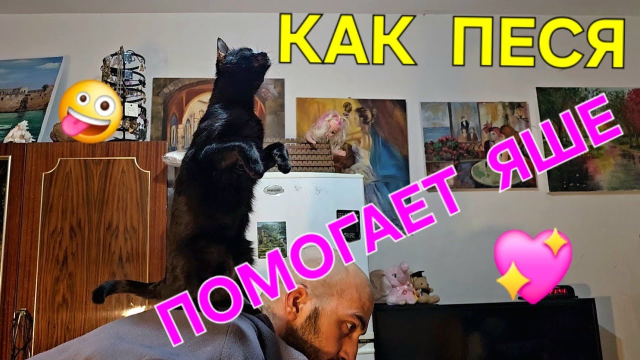 Яша и Песя.Ролик о нашей повседневности...🤪💖