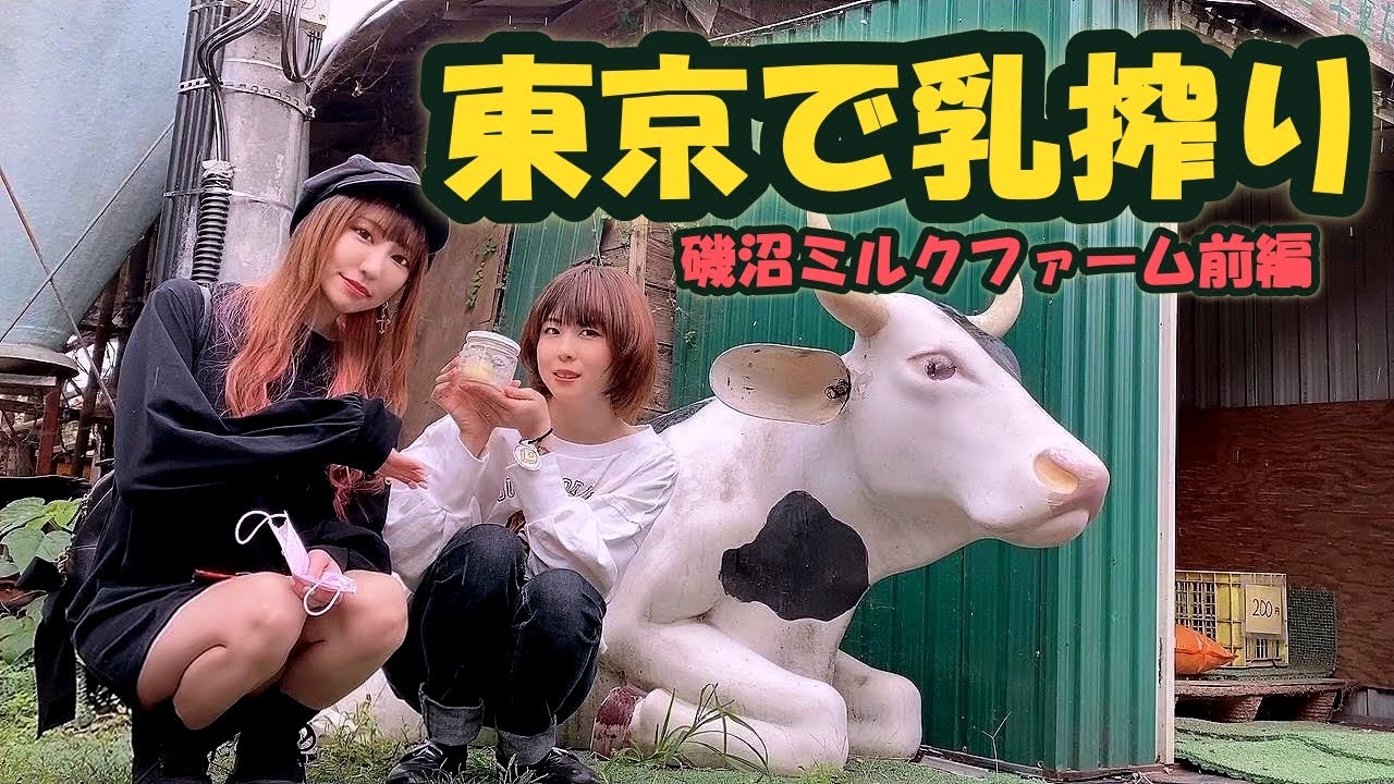都内駅近牧場で乳搾りをしてきた！【cocona*さんと行く磯沼ミルクファーム前編】