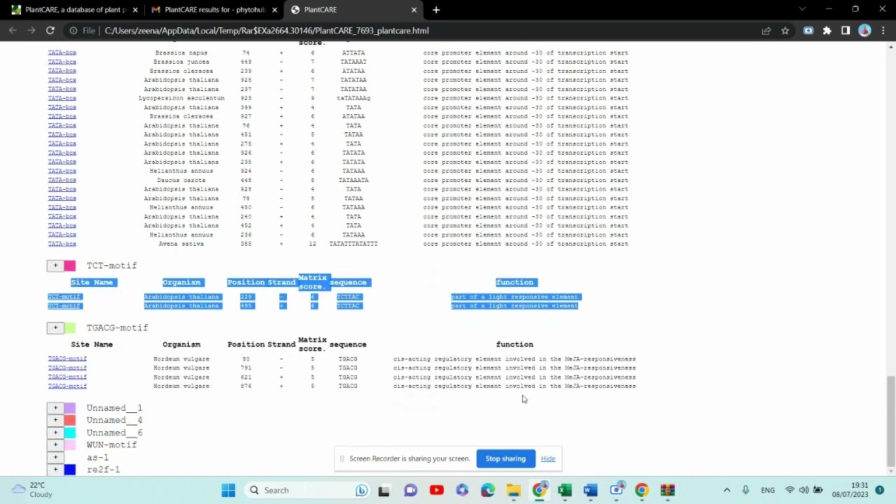 Promotor analysis, PlantCARE database Part 2b