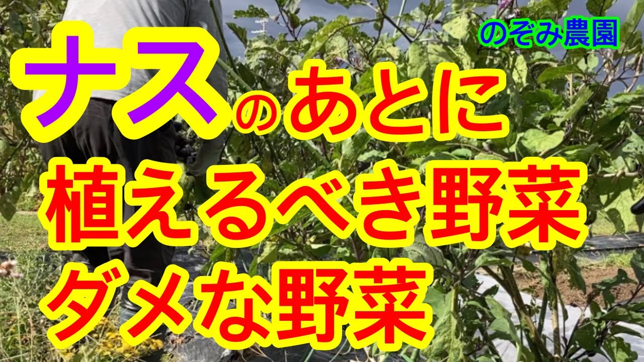 【ナス】ナスの後作、一緒に考えます！秋ナスが終わった後、植えると相性の良い野菜、良くない野菜をお伝えします。