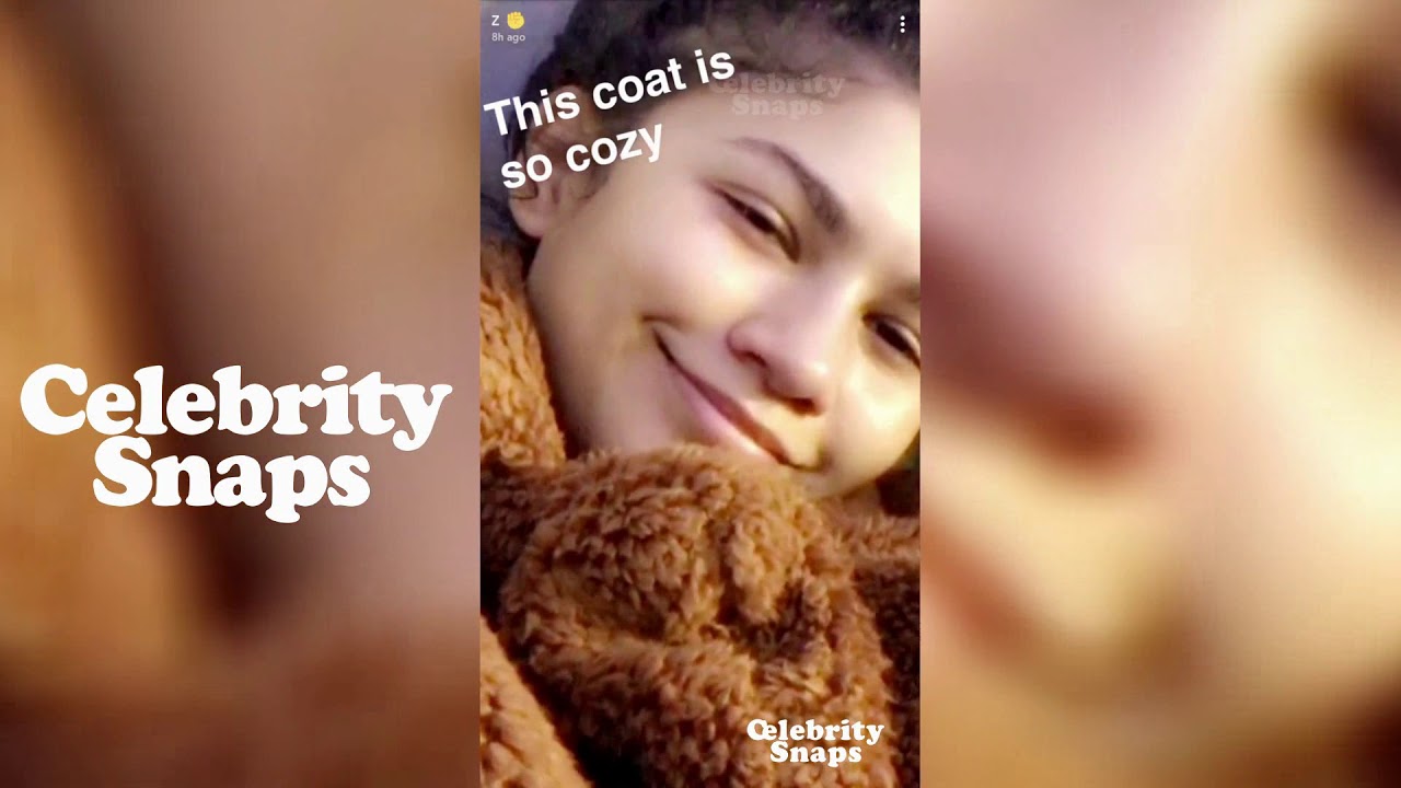 Zendaya Snapchat Stories | November 2017 Full |