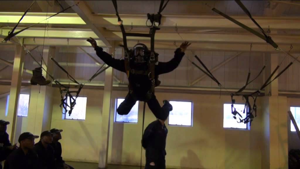 HAHO & HALO - Cut Away -  Harness Training