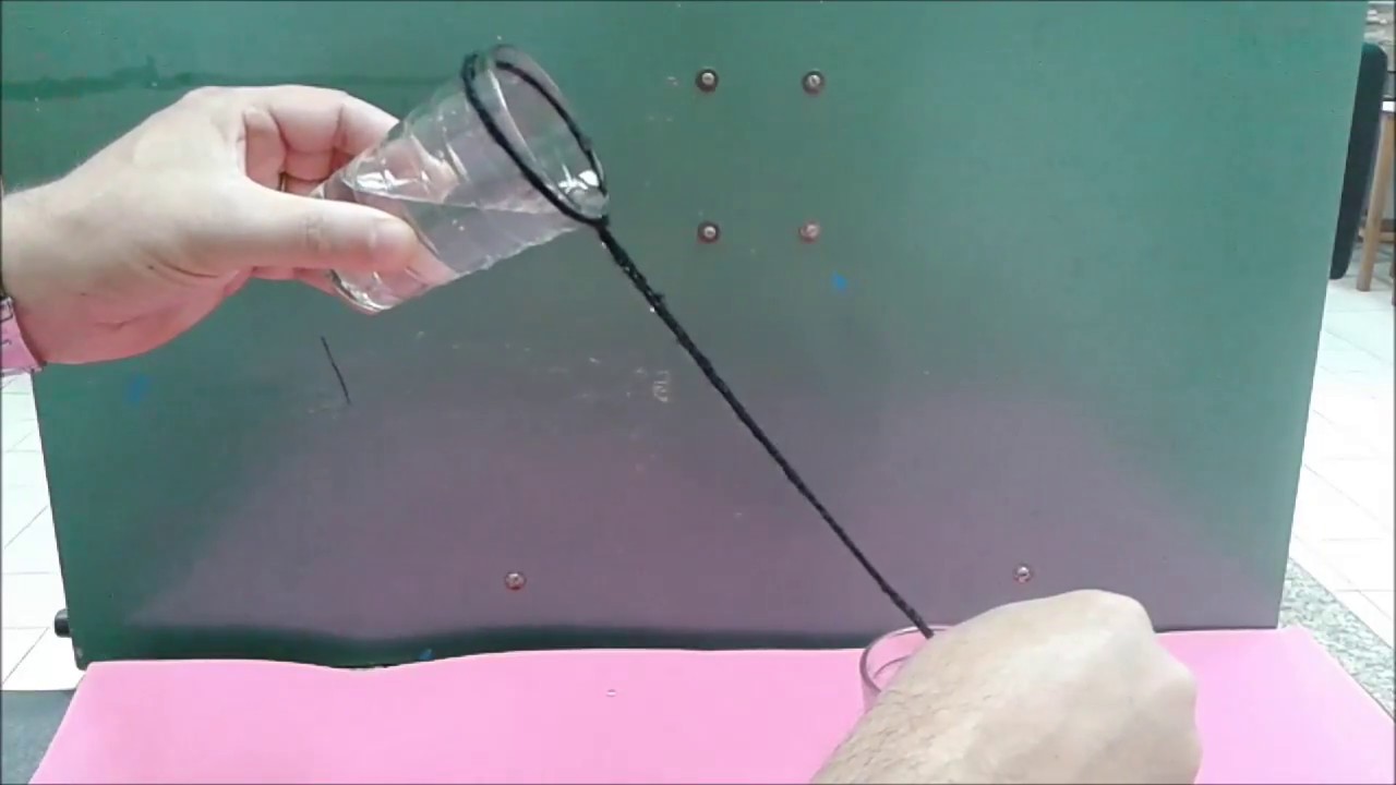Ponte de Água - Experimento de Química - Capilaridade