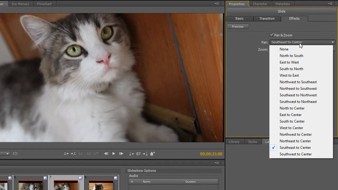 Adobe Encore Slideshow