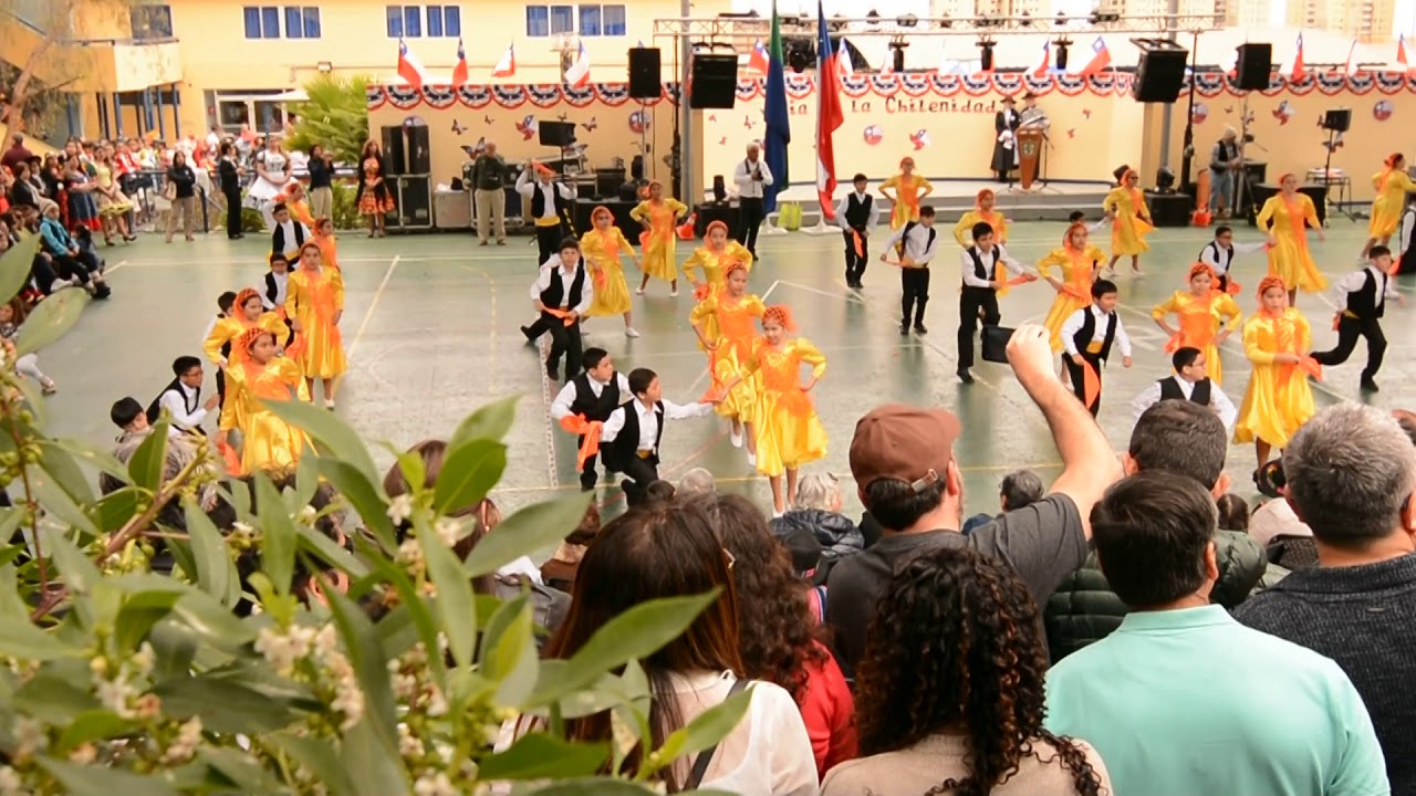 Quintos Basicos La Pericona 2019