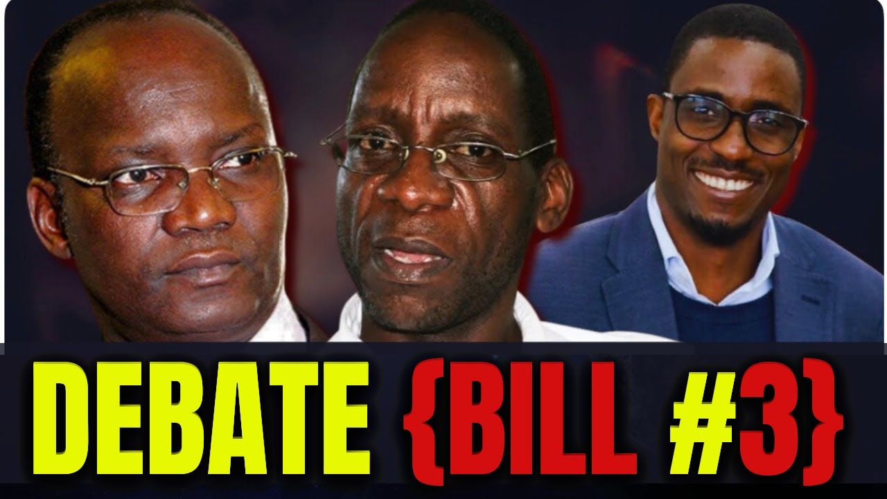 🎴MUST WATCH: Justice Mavedzenge Goes FULL THROTTLE on AMENDMENT BILL #3- Moyo ACCEPTS Defeat!