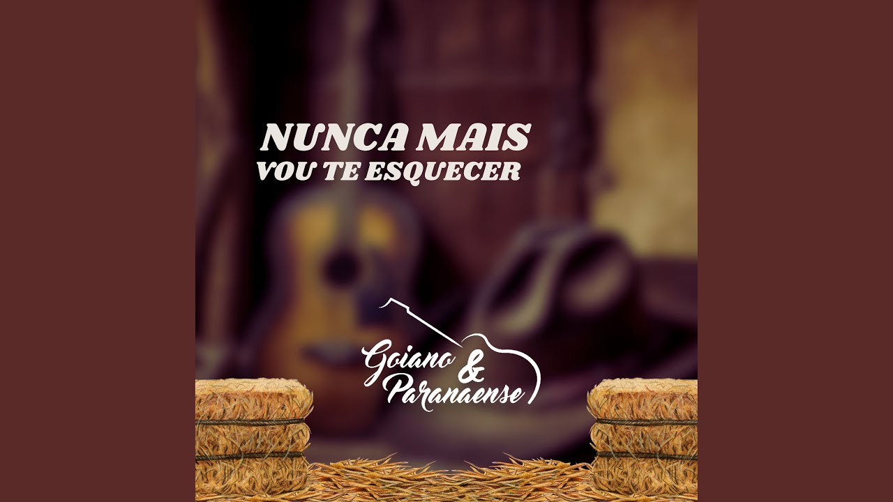 Nunca Mais Vou Te Esquecer