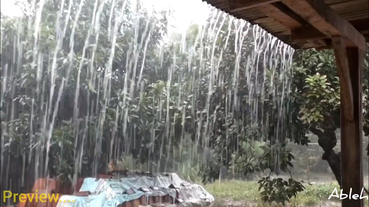 The world's most sought after heavy rain sounds, deep sleep and instant healing ⛈️⛈️