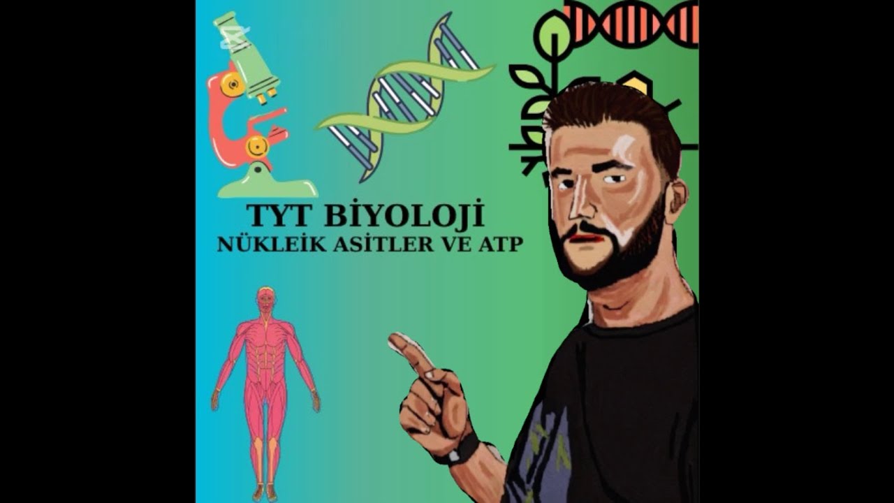 TYT BİYOLOJİ  NÜKLEİK ASİTLER  ve ATP